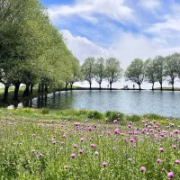 هیرکانی تور برنامه های طبیعت‌گردی