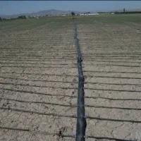 تیپ کشی قطره‌ای کنترات