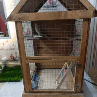 عروس هلندی با قفس