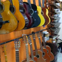 کلیه لوازم موسیقی|سازهای سنتی|تهران, فرحزاد|دیوار