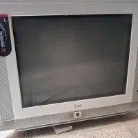 تلوزیون