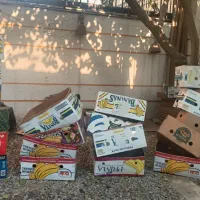 کارتن موزی 30 تومن