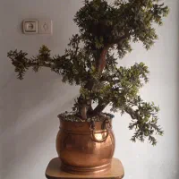 گلان مسی و گل برگ مصنوعی