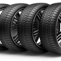 لاستیک دولتی