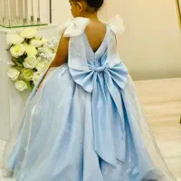 لیاس عروس مزون دوزیکبارپوشیده شده|لباس|میانه, |دیوار