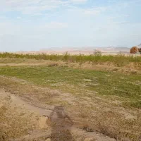 زمین|فروش زمین و ملک کلنگی|خوسف, |دیوار