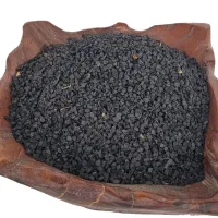 بذر پیاز مینروا
