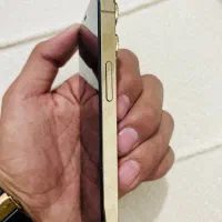 آیفون ۱۲پرو|موبایل|صومای برادوست, |دیوار