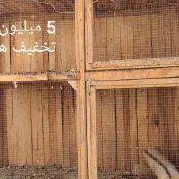 توری خانه|لوازم جانبی حیوانات|قم, مهدیه|دیوار