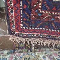 افشاری فروش|فرش|کرمان, |دیوار