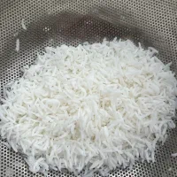 برنج طارم هاشمی امساله فریدونکنار اورگانیک