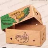 کارتون جا موز