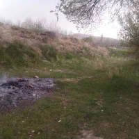 باغ انگور