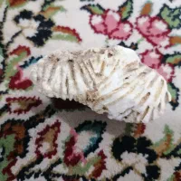 سنگ قیمتی|جواهرات|جیرفت, |دیوار