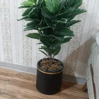 درختچه مصنوعی