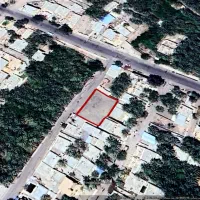 زمین خیابان امام رضا کوچه 8