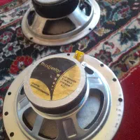 کلکسیونی یافراعت