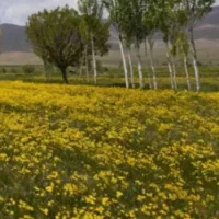 اب چاه کشاورزی