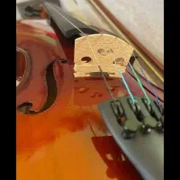 ویولن استیودنت ۴/۴