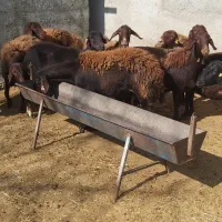 هترو|حیوانات مزرعه|سلطانیه, |دیوار