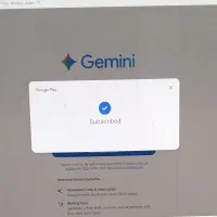 اشتراک جمنای پرو یکساله