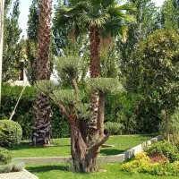 جذب نیروی حراست شب (شیفت ثابت) - متعهد و امانت‌دار