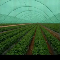 پخش عمده گونی و توری سایبان (شید گلخانه)|عمدهفروشی|قم, باجک یک|دیوار