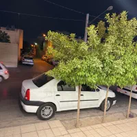 اجاره مغازه صفائیه خیابان ۱۵ خرداد