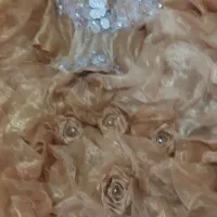 لباس مجلسی|لباس|سهند, |دیوار