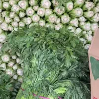 کرفس تازه کیلویی 30 تومان