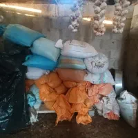 باقالی مازندرانی خشک