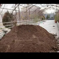 کود دامی گوسفندی گاو طیور و خاک باغ و باغچه