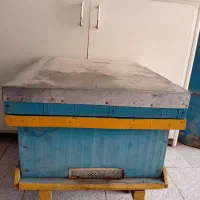 کندوی زنبور عسل