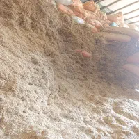 کاه|لوازم جانبی حیوانات|بیرانوند, |دیوار