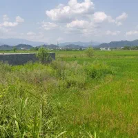 زمین-با-موقعیت-عالی-دربهترین-لوکیشن