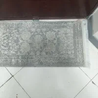 2تا پادری  یه  عدد براه راه رو|پادری|پاکدشت, پاکدشت (مامازند)|دیوار