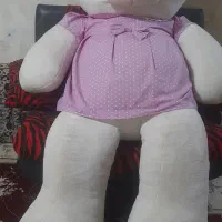 خرس بزرگ ۲متری