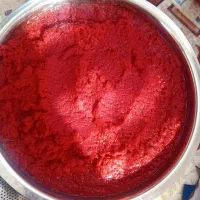 رب خانگی