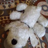 عروسک خرس و سگ