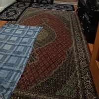 قالی 6متری|فرش|خرم‌آباد, |دیوار