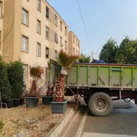 گل گیاه نهال|خدمات باغبانی و درختکاری|فردیس, شهرک ناز|دیوار