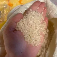 برنج ایرانی عنبربو خالص|خوردنی و آشامیدنی|تهران, مولوی|دیوار