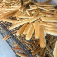 استخدام نیرو