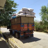 خرید وفروش کاه گندم درجه یک تحویلی درب دامداری