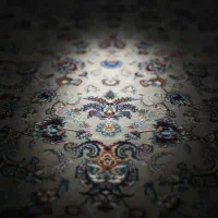 قصر گل لاکی|فرش|دهدشت, |دیوار