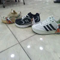 کفش و کتانی|کیف، کفش، کمربند|ساوه, |دیوار