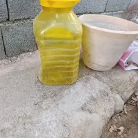 دبه خالی 10کیلویی