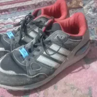 دو جفت کفش مردانه یک جفت زنانه|کیف، کفش، کمربند|تربت‌حیدریه, داروپخش|دیوار