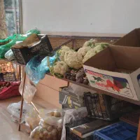 قفسه میوه فروشی