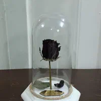 گل ضریح (دکوری)